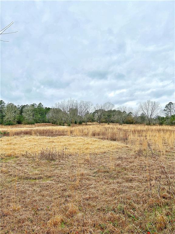 360 Redmond Road Lumberton, MS 39455 - Photo 11 of 19 Gallery Image 11