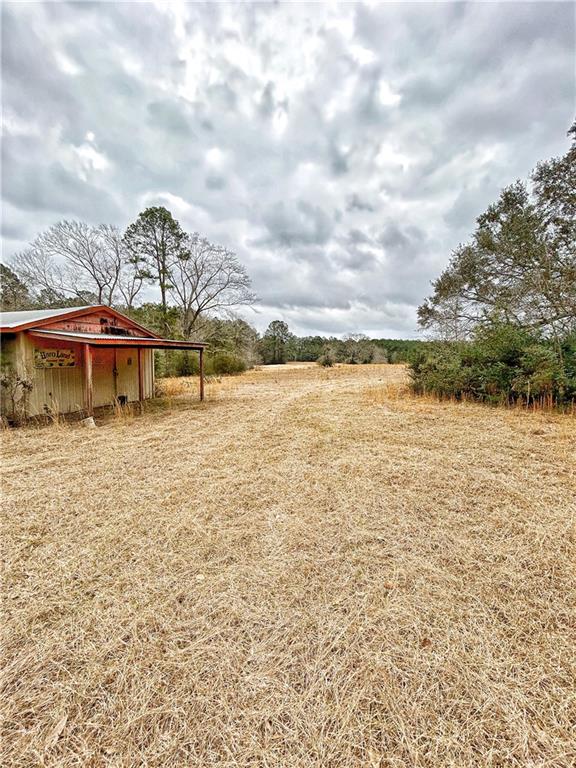 360 Redmond Road Lumberton, MS 39455 - Photo 3 of 19 Gallery Image 3