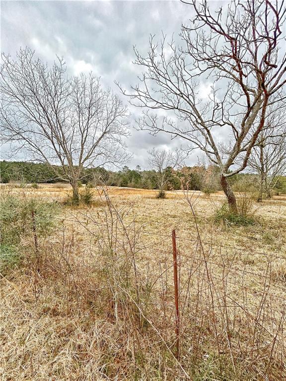 360 Redmond Road Lumberton, MS 39455 - Photo 5 of 19 Gallery Image 5