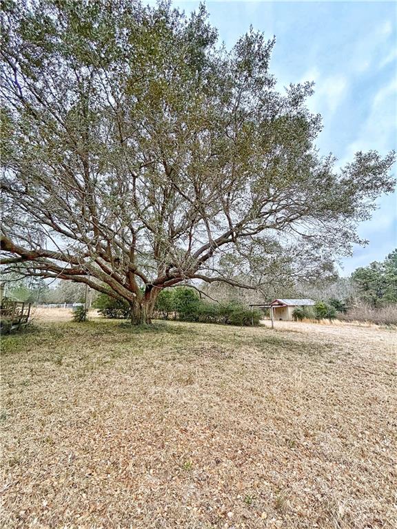360 Redmond Road Lumberton, MS 39455 - Photo 8 of 19 Gallery Image 8