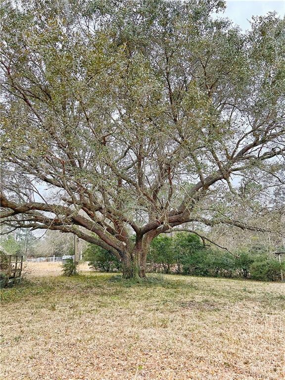 360 Redmond Road Lumberton, MS 39455 - Photo 9 of 19 Gallery Image 9