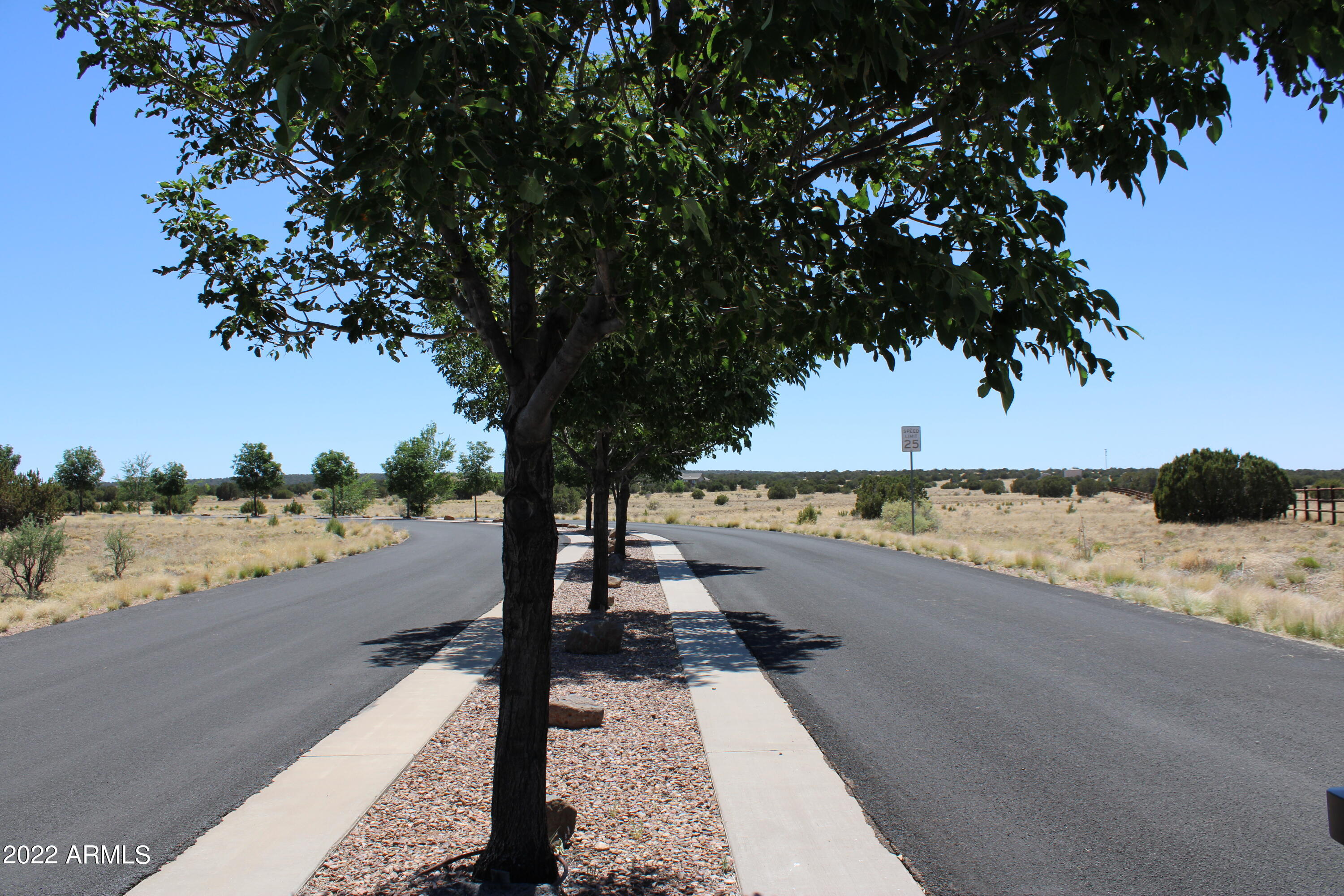 2511 Rock View Drive, Unit 11 Show Low, AZ 85901 - Photo 5 of 13 Tree Lined Entry to Canyon Vista Estates