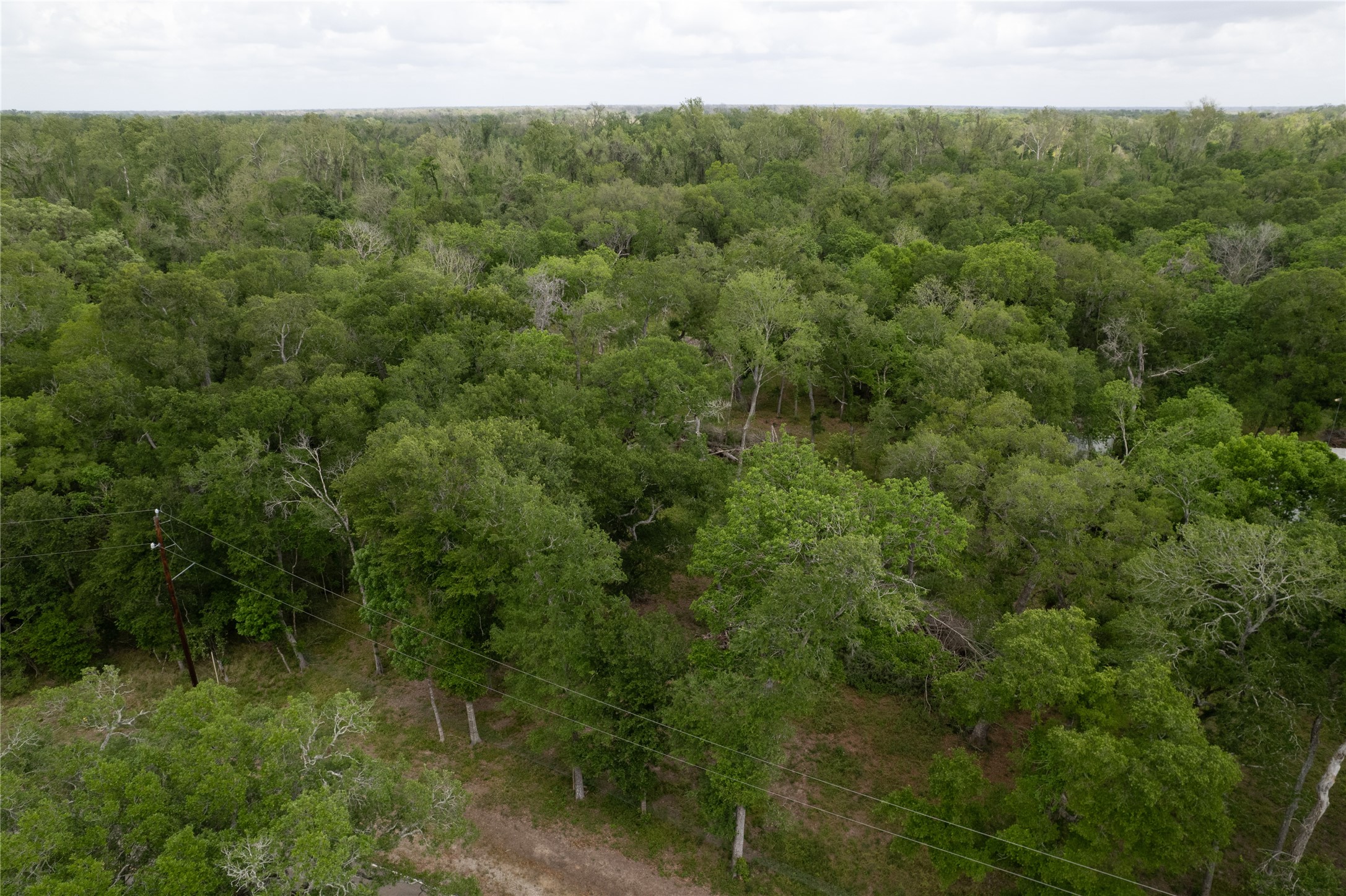 0 King's Oak Drive Damon, TX 77430 - Photo 29 of 29