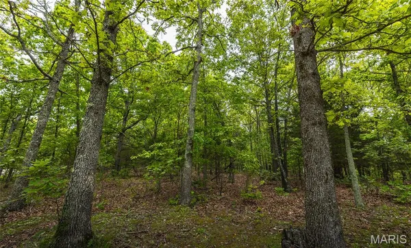 $185,000 | 0 County Road 6280, Jadwin, MO 65501