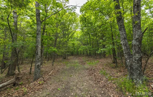 $185,000 | 0 County Road 6280, Jadwin, MO 65501