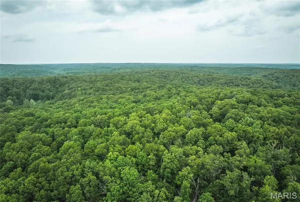 $185,000 | 0 County Road 6280, Jadwin, MO 65501
