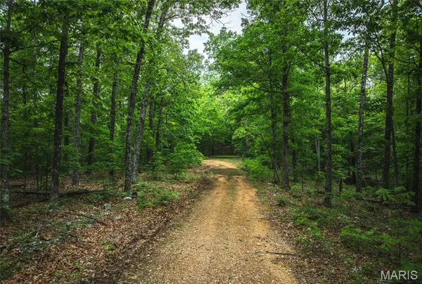 $185,000 | 0 County Road 6280, Jadwin, MO 65501