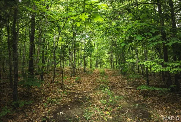 $185,000 | 0 County Road 6280, Jadwin, MO 65501