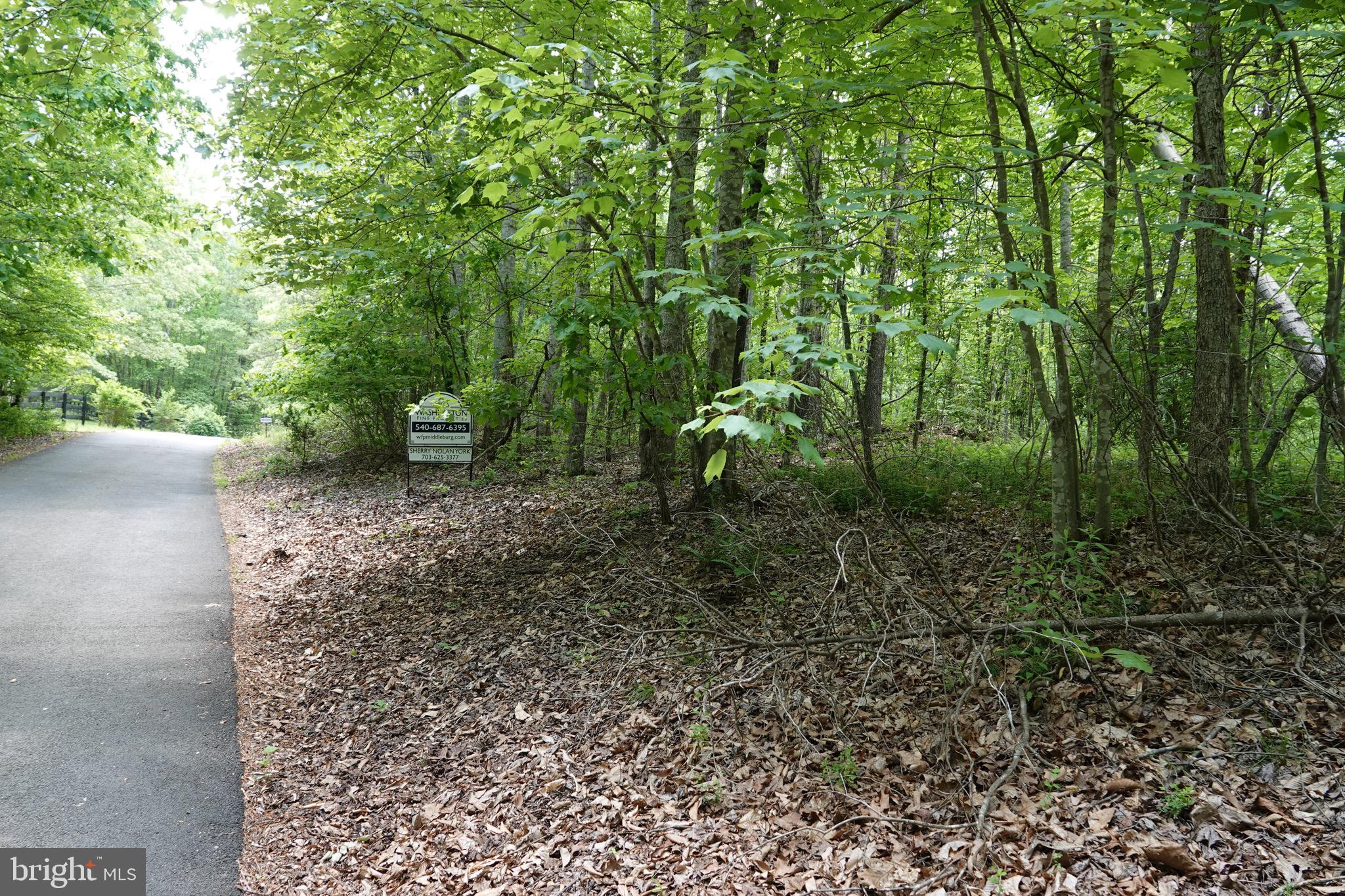 0 Cabin Branch Road Marshall, VA 20115 - Photo 8 of 13 Lot View