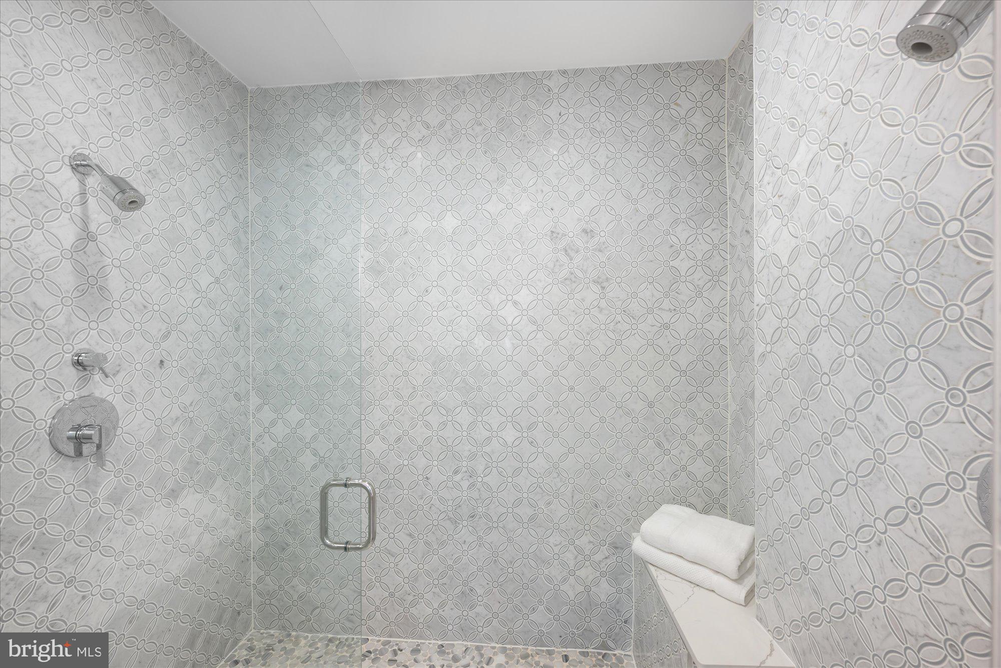 2315 Ontario Road Northwest, Unit 2 Washington, DC 20009 - Photo 19 of 25 Primary Spa Bathroom