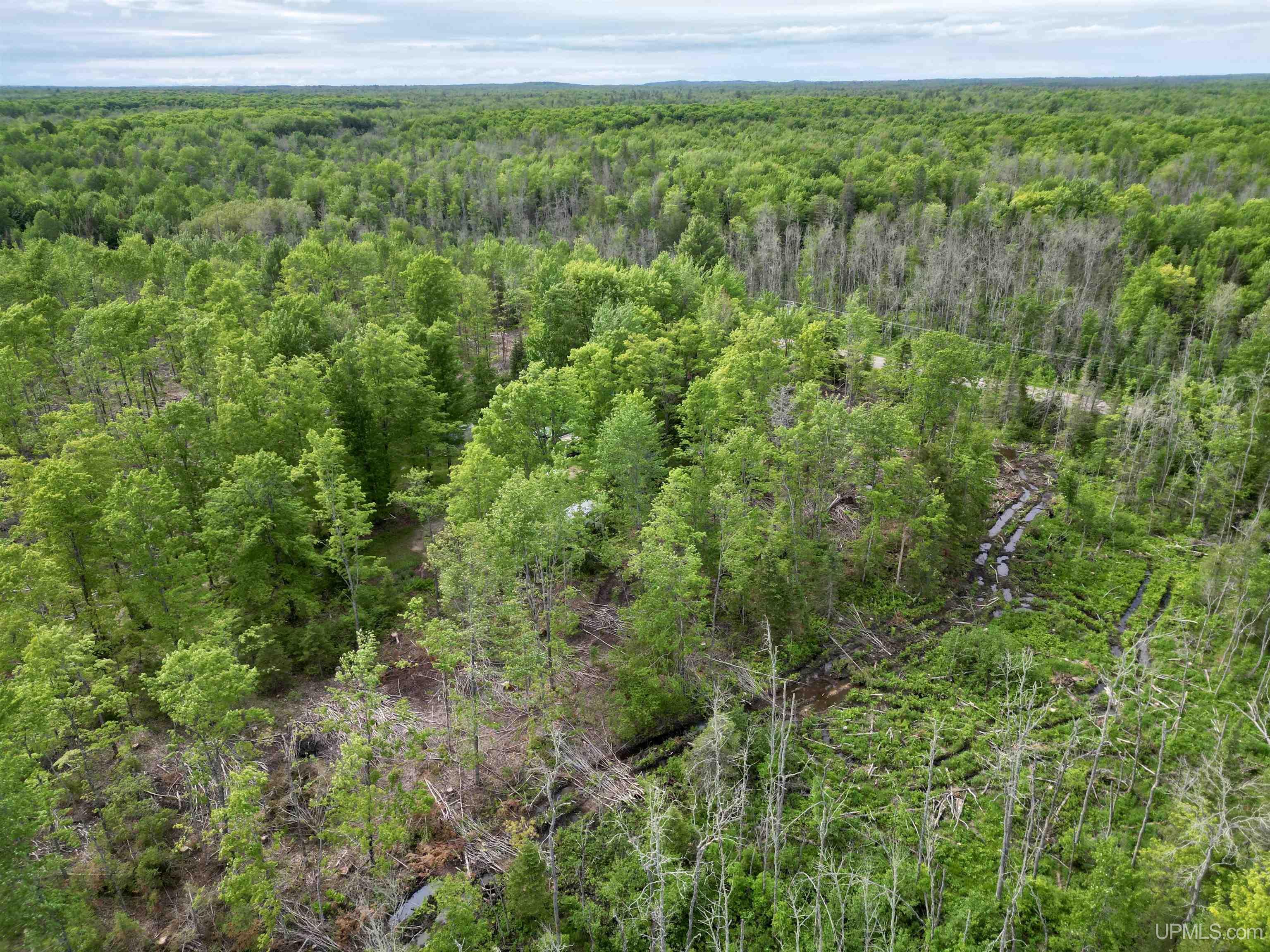 3601 Cr444 Road Rock, MI 49880 - Photo 71 of 78