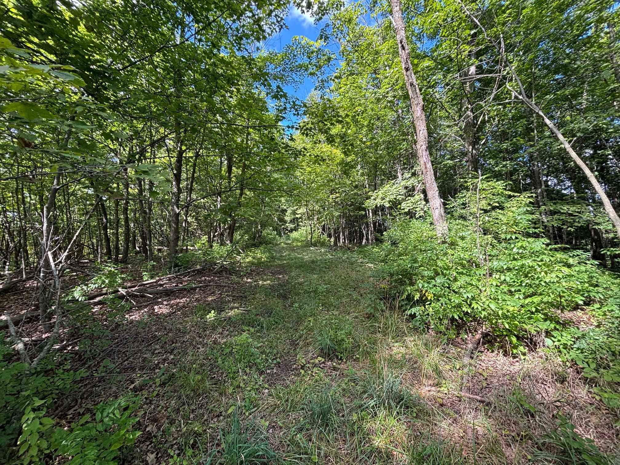 43167 Guthrie Road Gays Mills, WI 54631 - Photo 47 of 62 Gallery Image 47