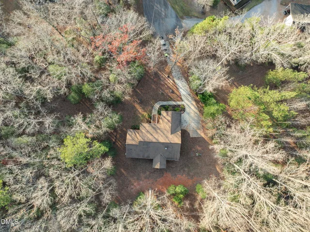 a view of a yard with plants and trees