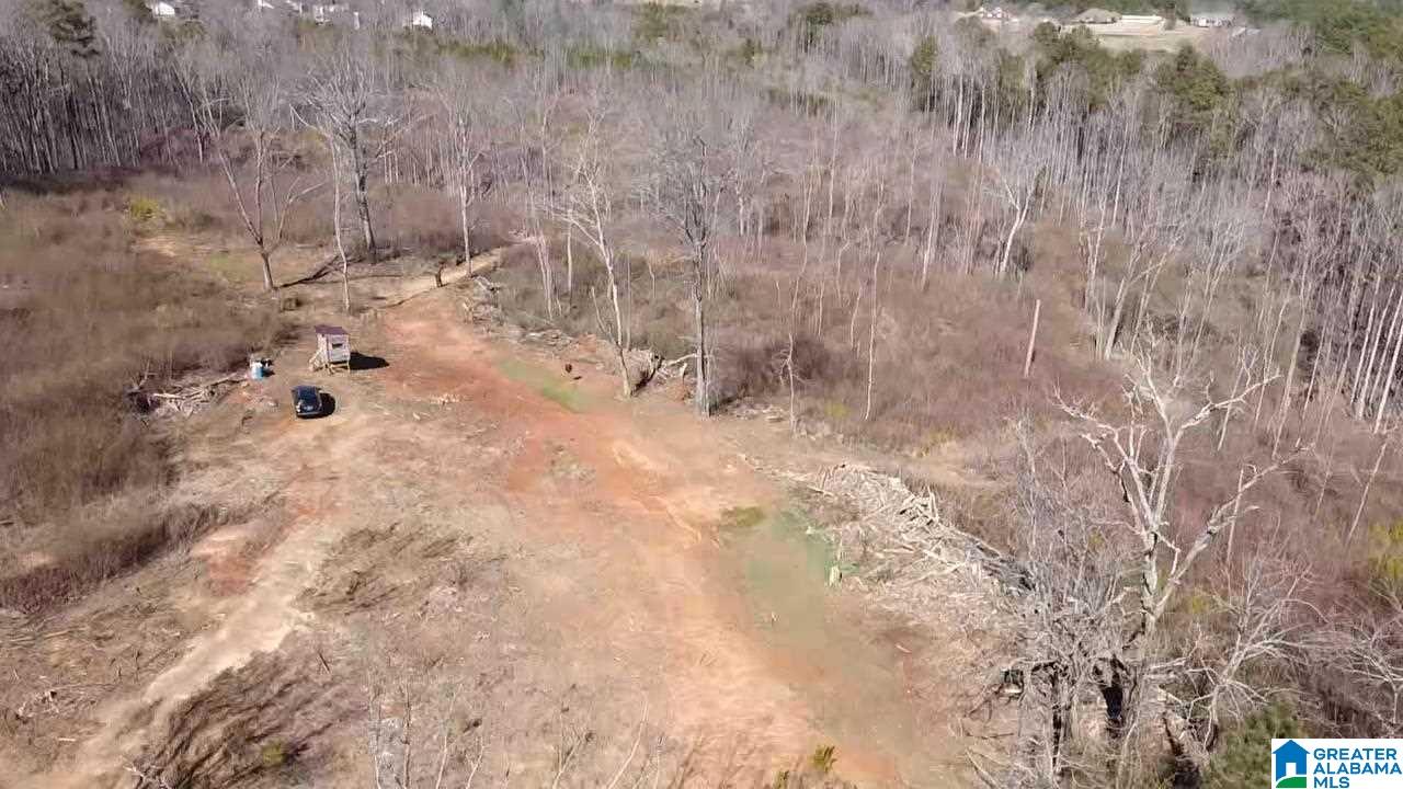 8429 Wade Road, Unit 1 Warrior, AL 35180 - Photo 2 of 8