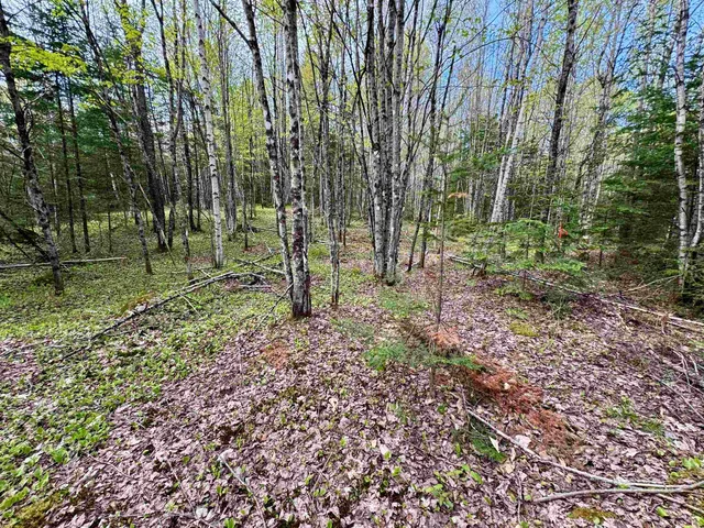 $100,000 | 0 Oregon Road, Unit LOT 1, Lunenburg, VT 05906