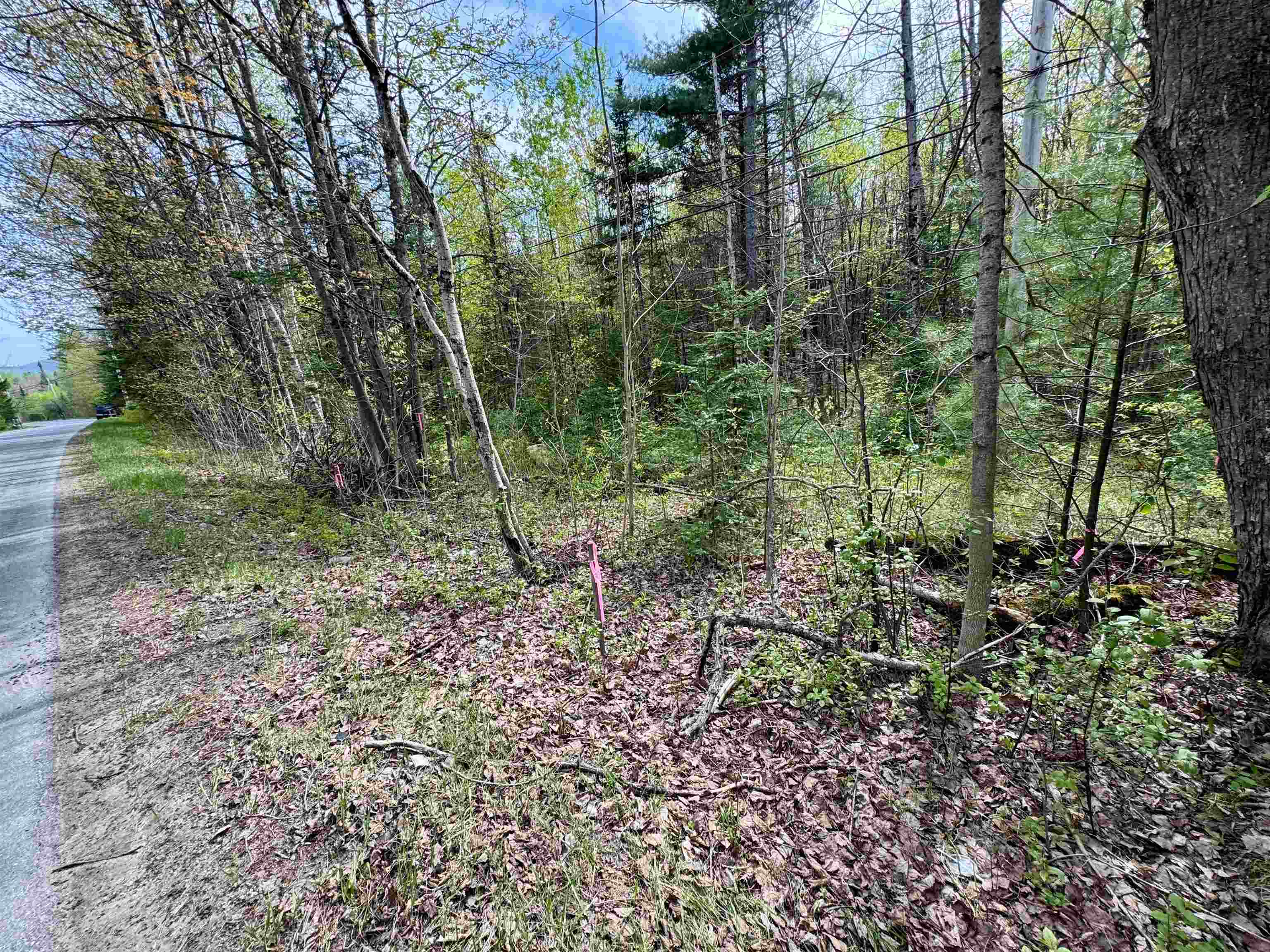 0 Oregon Road, Unit LOT 1 Lunenburg, VT 05906 - Photo 4 of 13