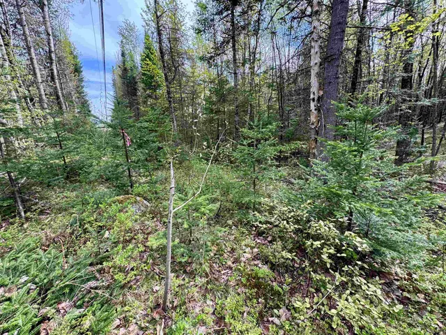 $100,000 | 0 Oregon Road, Unit LOT 1, Lunenburg, VT 05906