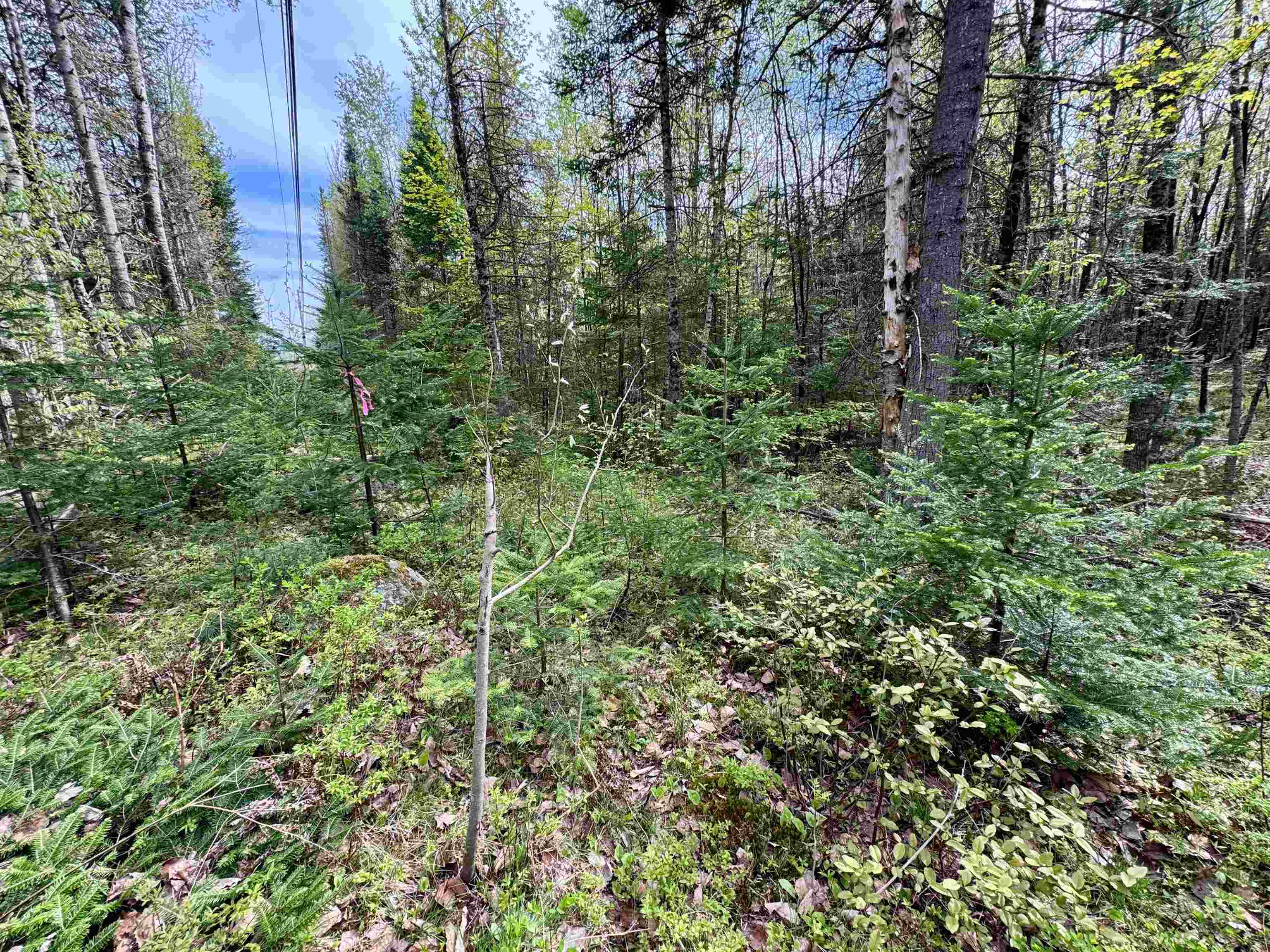 0 Oregon Road, Unit LOT 1 Lunenburg, VT 05906 - Photo 5 of 13