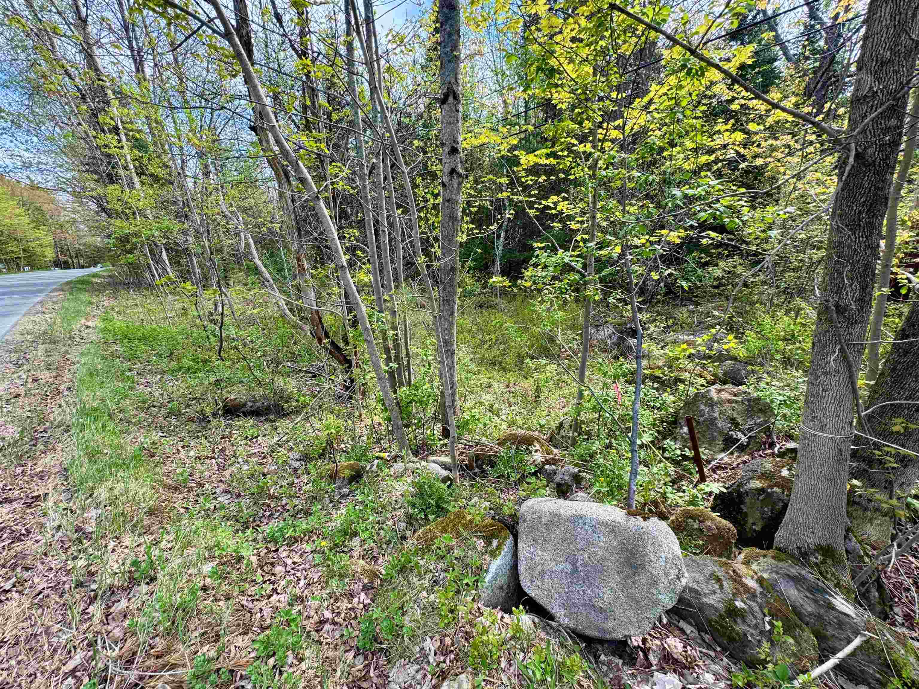 0 Oregon Road, Unit LOT 1 Lunenburg, VT 05906 - Photo 6 of 13