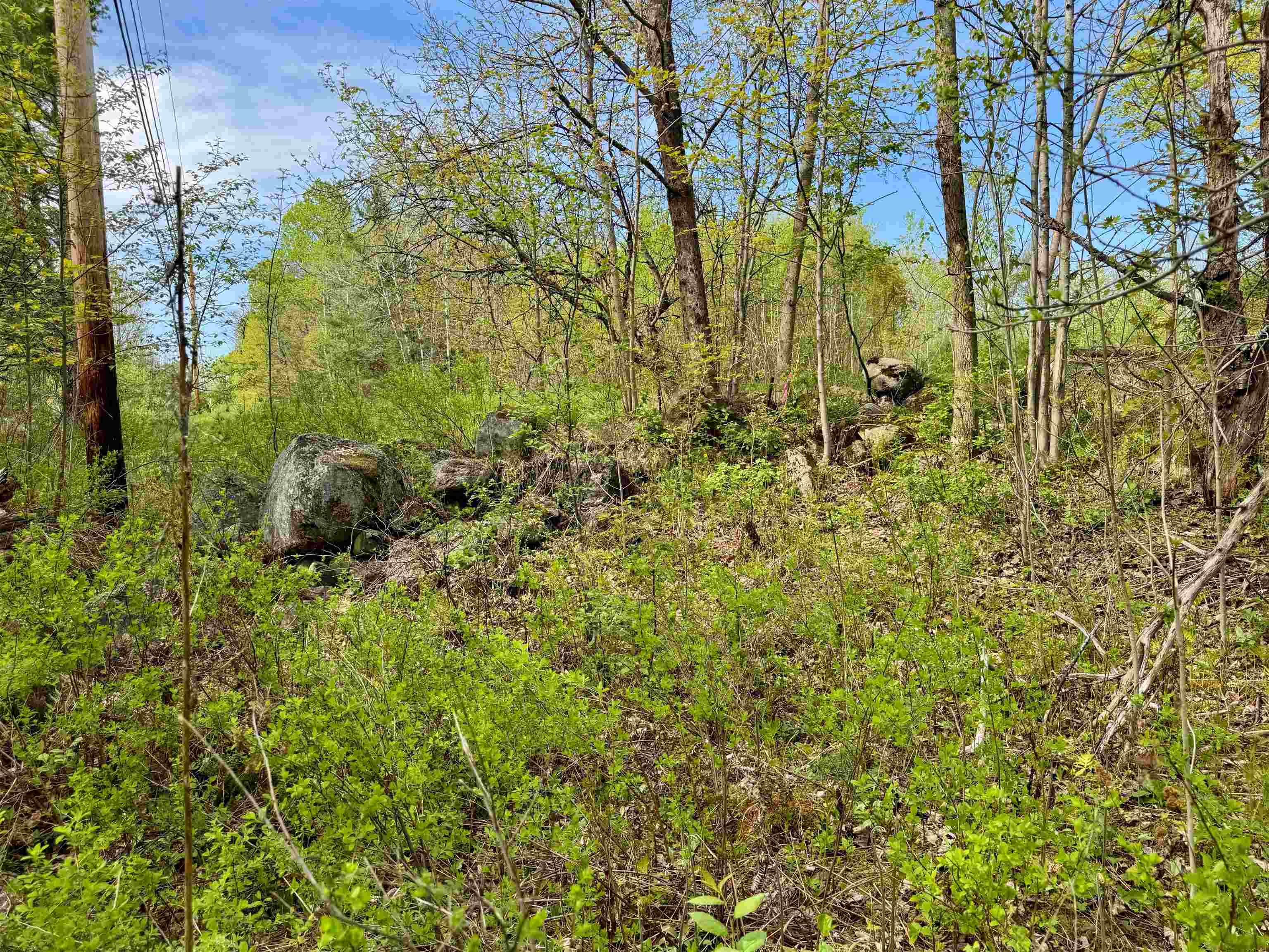 0 Oregon Road, Unit LOT 1 Lunenburg, VT 05906 - Photo 7 of 13