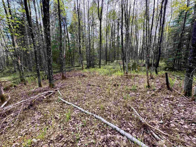 $100,000 | 0 Oregon Road, Unit LOT 1, Lunenburg, VT 05906