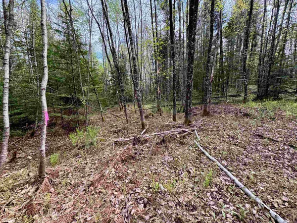 $100,000 | 0 Oregon Road, Unit LOT 1, Lunenburg, VT 05906