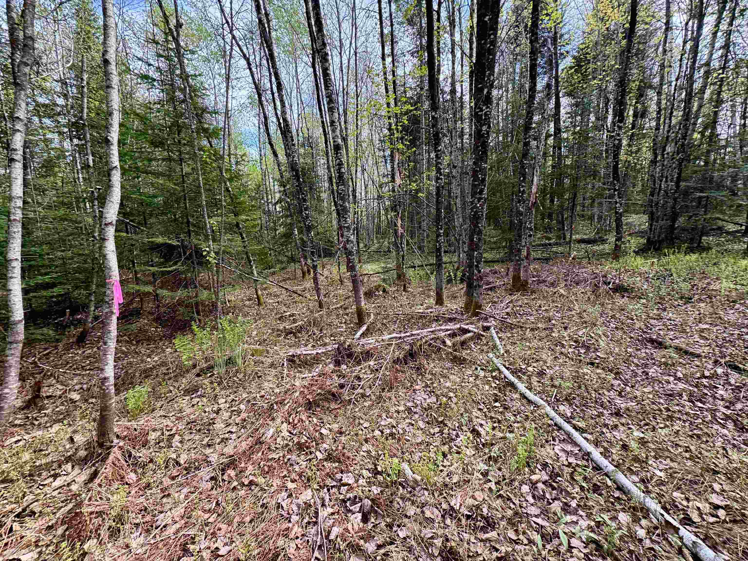 0 Oregon Road, Unit LOT 1 Lunenburg, VT 05906 - Photo 9 of 13