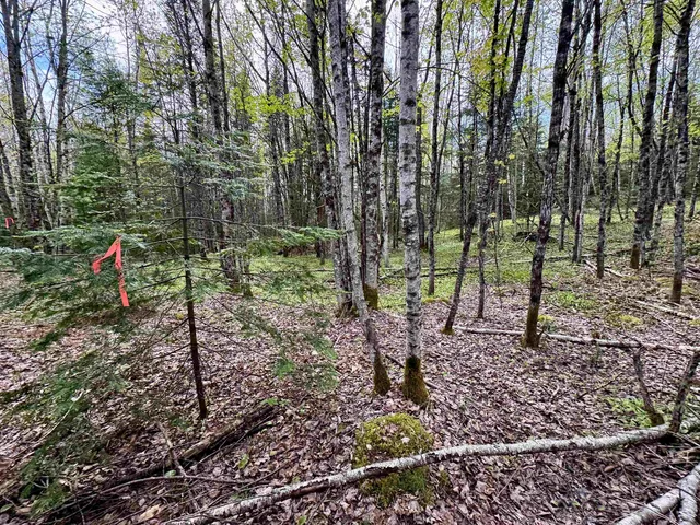 $100,000 | 0 Oregon Road, Unit LOT 1, Lunenburg, VT 05906