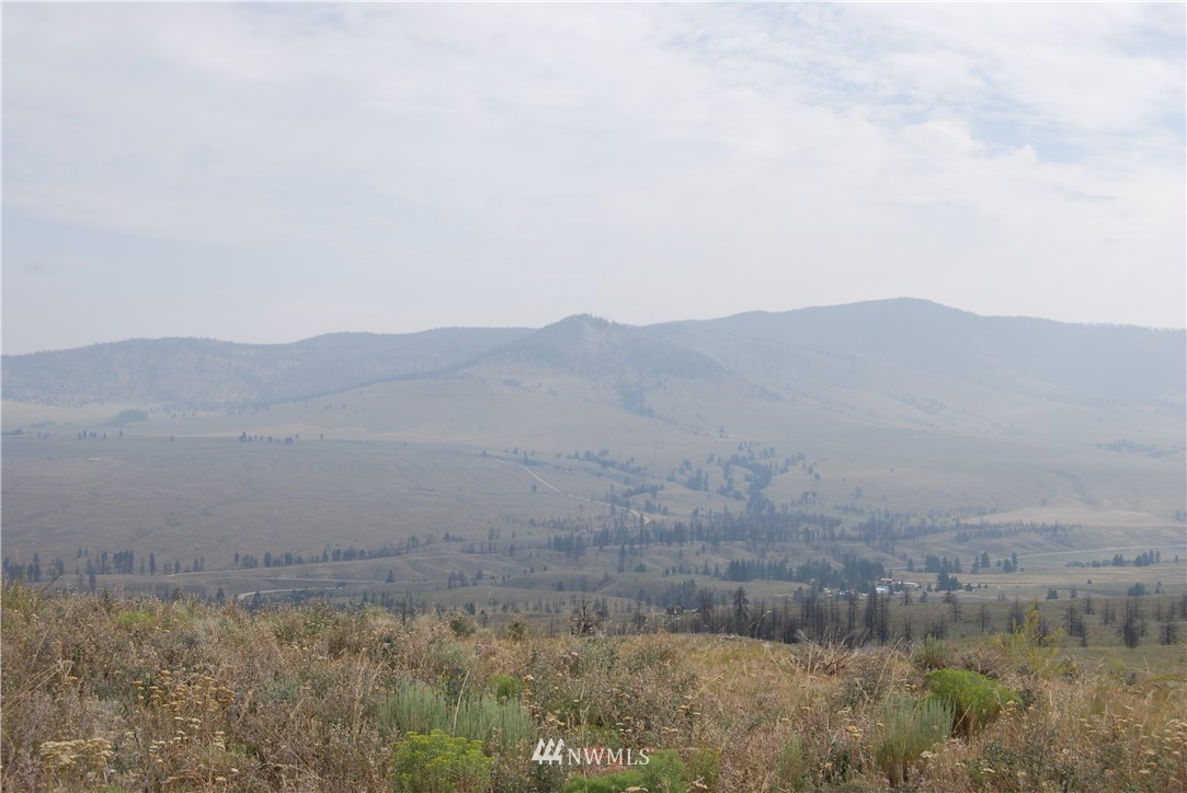 114 Armitage Hill Road Riverside, WA 98849 - Photo 1 of 1 Gallery Image 1