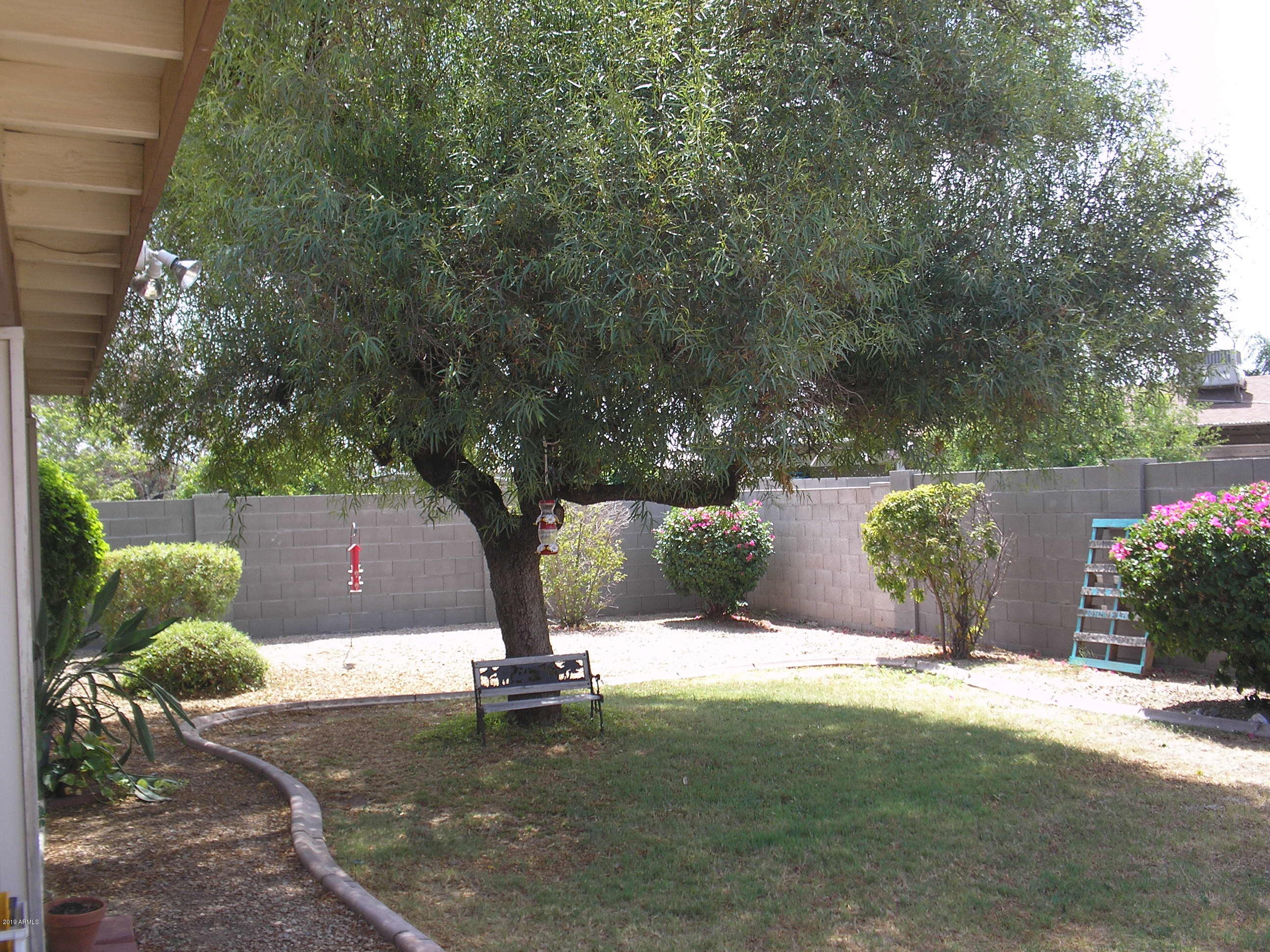 3053 West Greenway Road Phoenix, AZ 85053 - Photo 1 of 28 Rear Yard All Landscaped