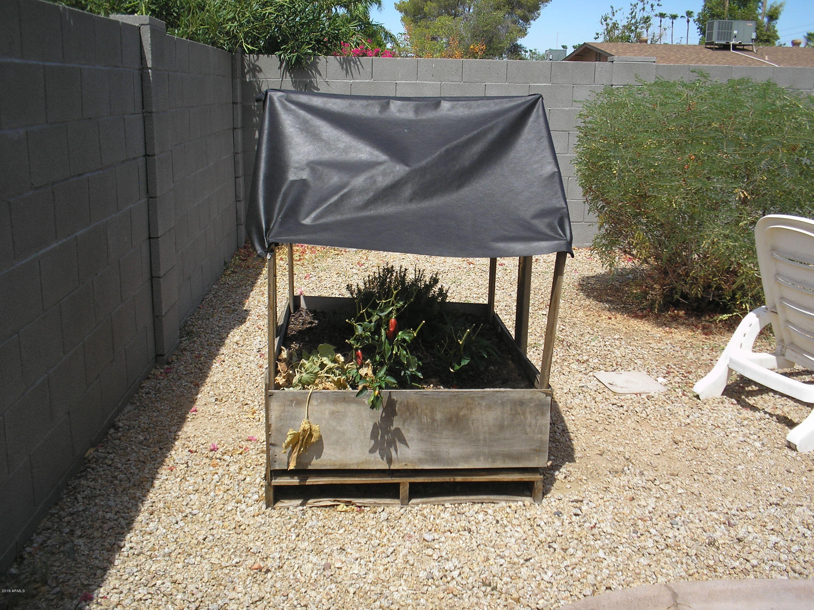 3053 West Greenway Road Phoenix, AZ 85053 - Photo 24 of 28 Herb Garden !!!