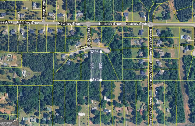 $25,000 | 317 Hawk Court, Macon, GA 31216