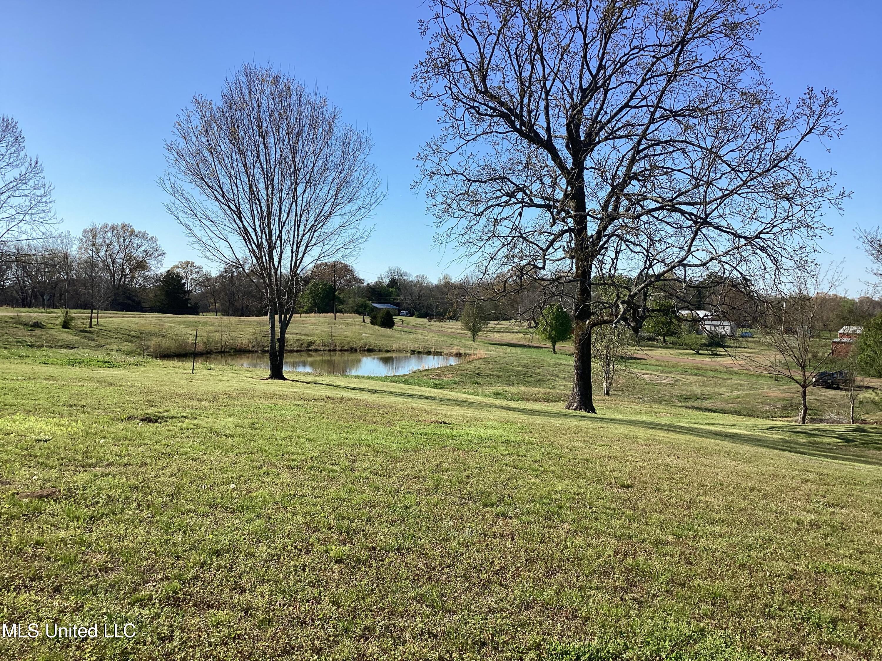1 Poagville Road Coldwater, MS 38618 - Photo 5 of 9 IMG_0023
