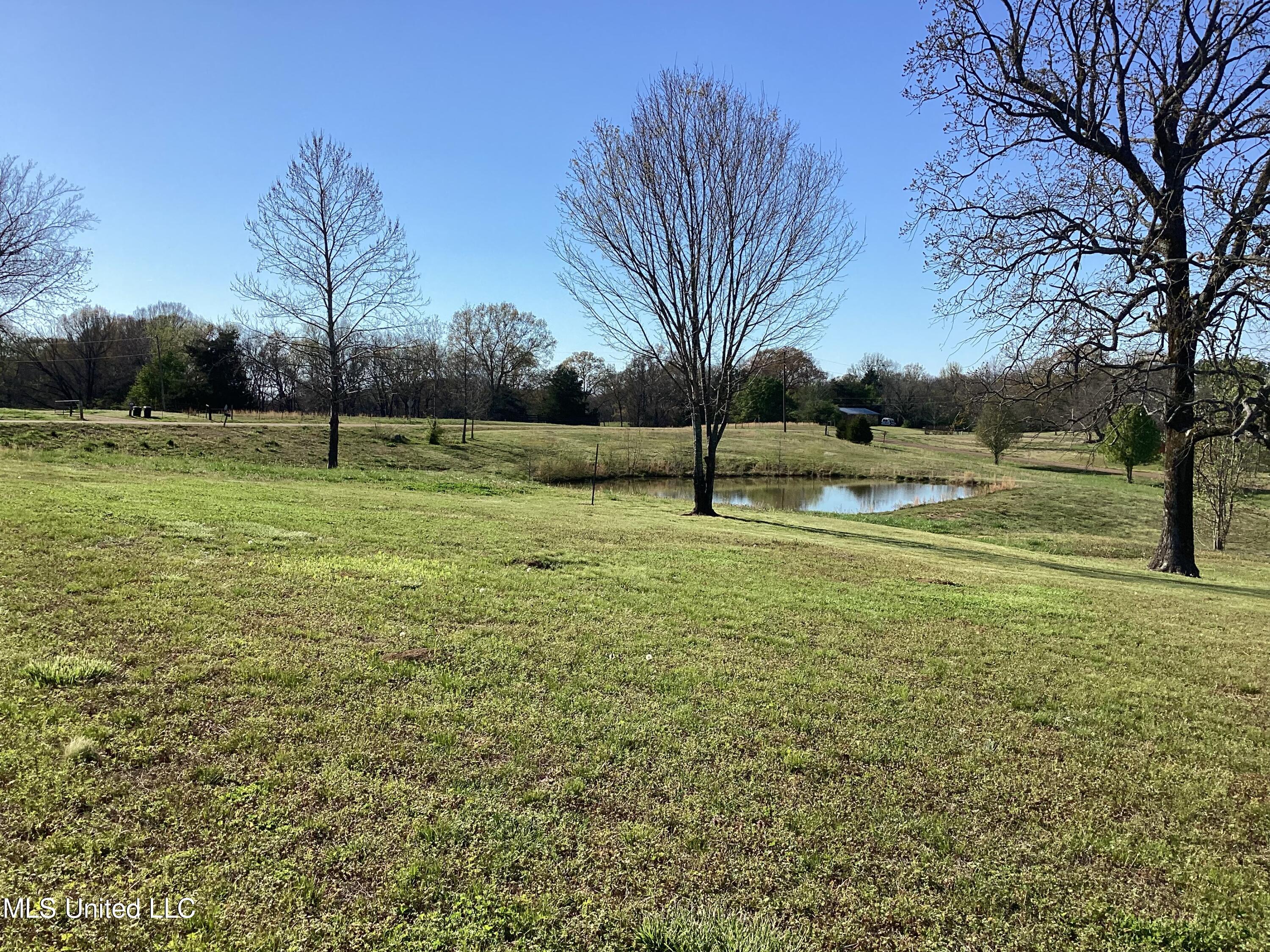 1 Poagville Road Coldwater, MS 38618 - Photo 6 of 9 IMG_0024