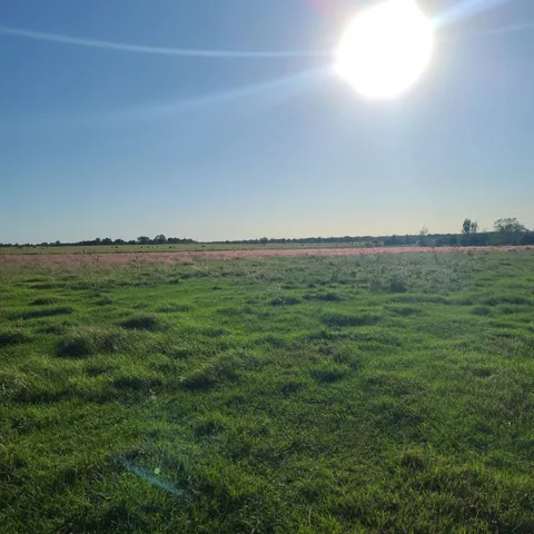 $9,380,000 | 14029 Cochran Road, Waller, TX 77484