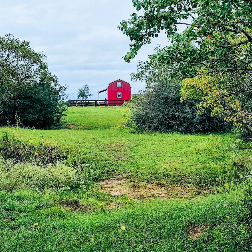 14029 Cochran Road Waller, TX 77484 - Photo 9 of 26
