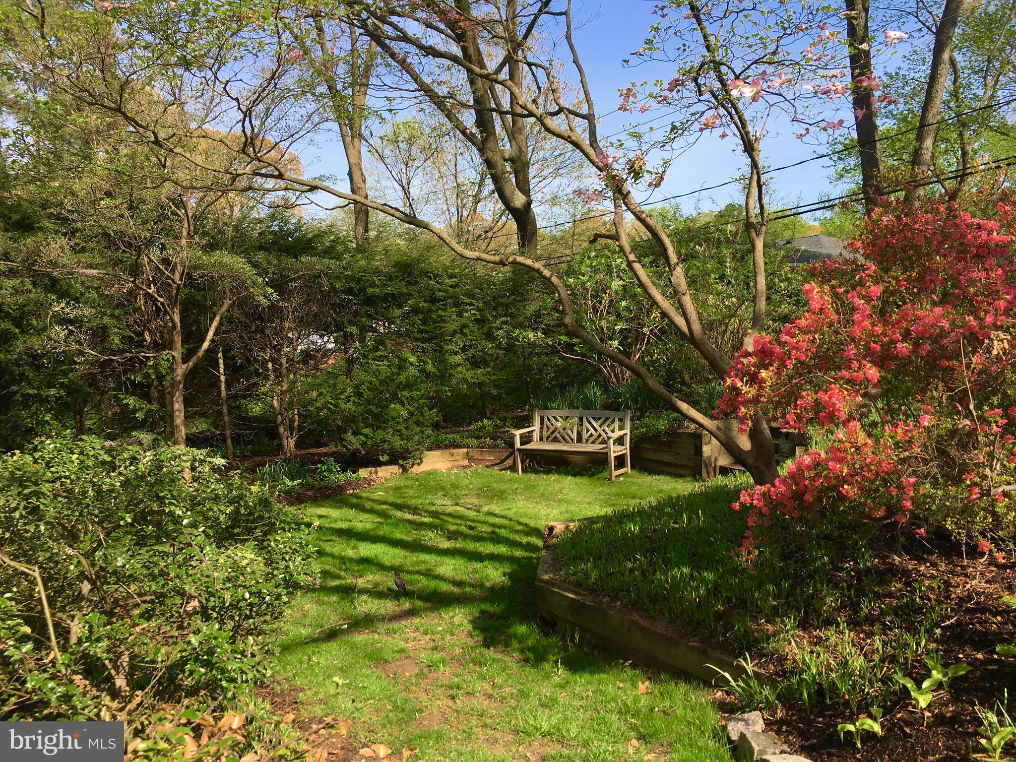 126 Sherburn Road Severna Park, MD 21146 - Photo 25 of 30