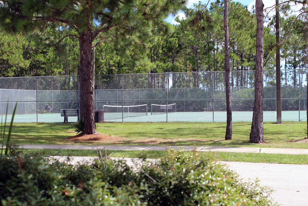 3900 Lemos Drive Austin, TX 78728 - Photo 34 of 35 a view of a garden with a tree