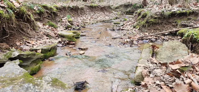 $1,200,000 | 5849 Catholic Church Road, Cedar Hill, TN 37032