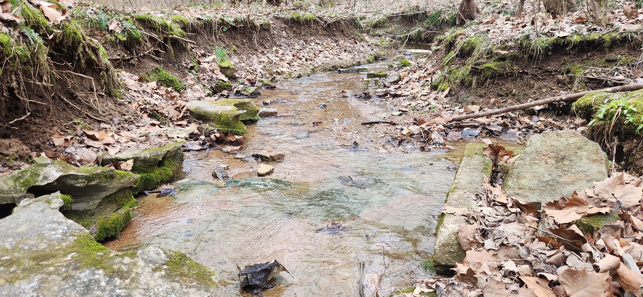 5849 Catholic Church Road Cedar Hill, TN 37032 - Photo 14 of 23 a view of outside area