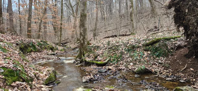 $1,200,000 | 5849 Catholic Church Road, Cedar Hill, TN 37032