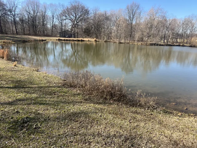 $1,200,000 | 5849 Catholic Church Road, Cedar Hill, TN 37032