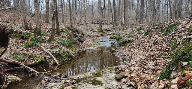 $1,200,000 | 5849 Catholic Church Road, Cedar Hill, TN 37032