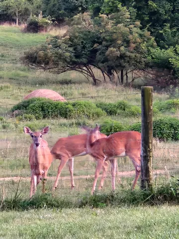 $1,200,000 | 5849 Catholic Church Road, Cedar Hill, TN 37032