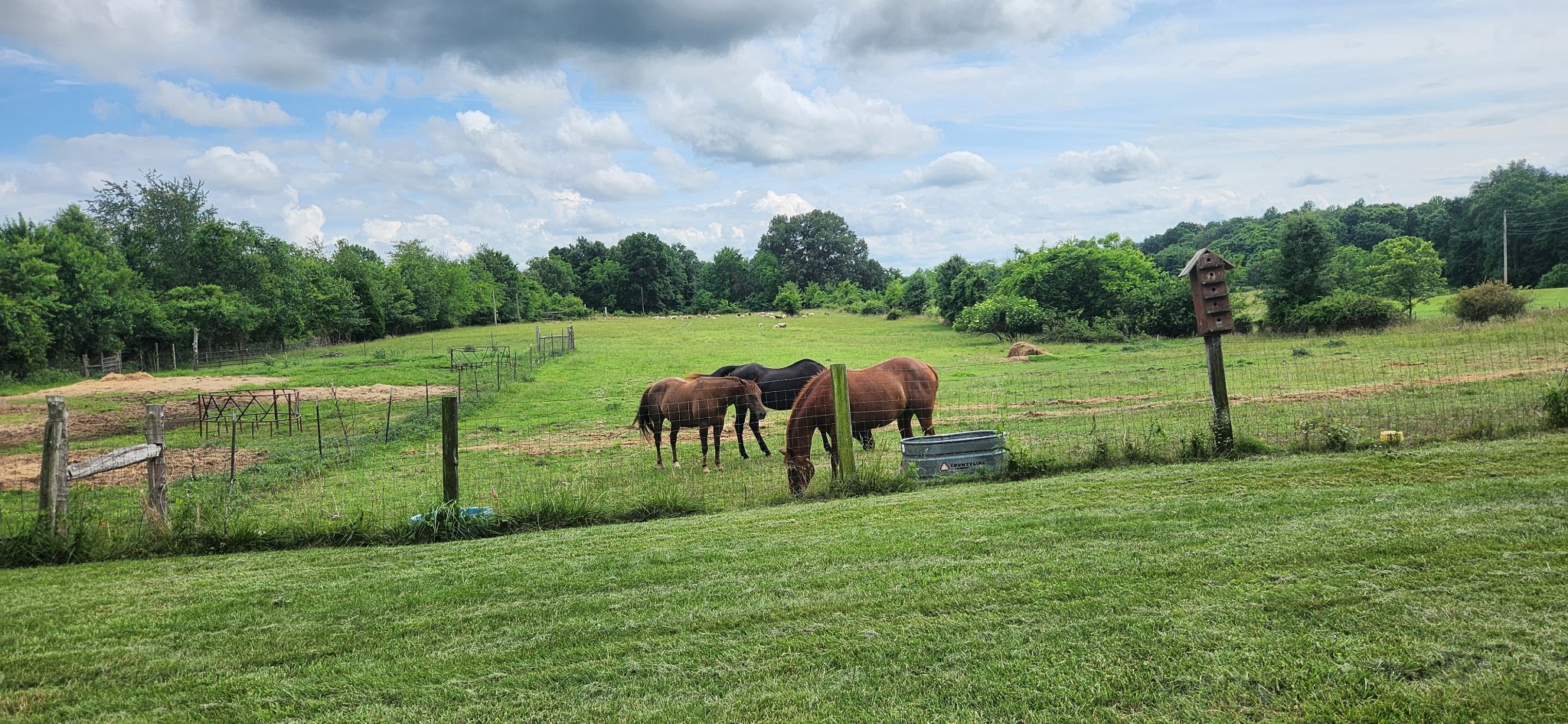 5849 Catholic Church Road Cedar Hill, TN 37032 - Photo 2 of 23