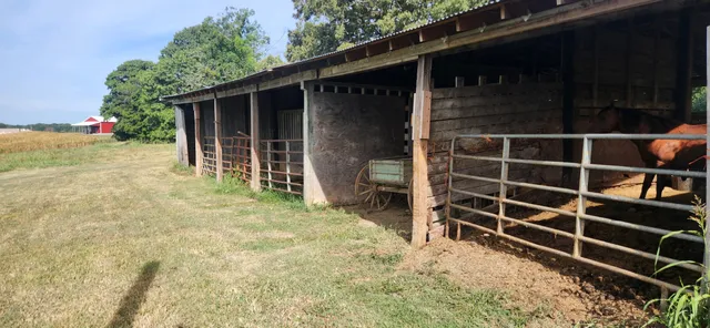 $1,200,000 | 5849 Catholic Church Road, Cedar Hill, TN 37032