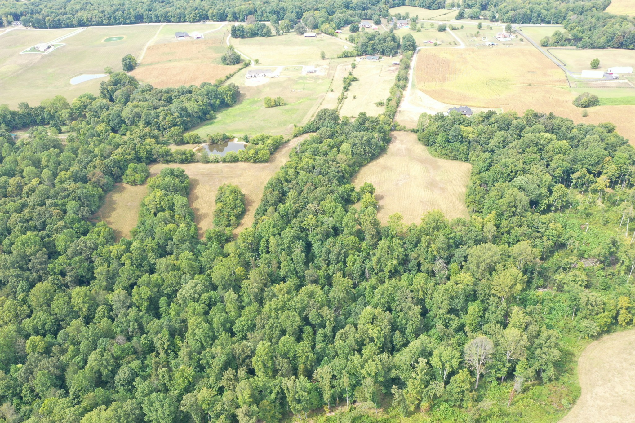 5849 Catholic Church Road Cedar Hill, TN 37032 - Photo 3 of 23