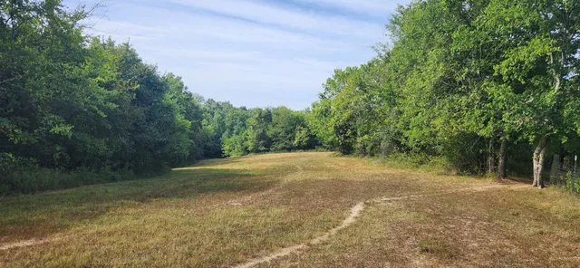 $1,200,000 | 5849 Catholic Church Road, Cedar Hill, TN 37032