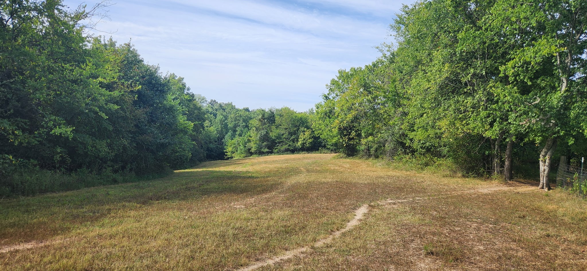 5849 Catholic Church Road Cedar Hill, TN 37032 - Photo 9 of 23