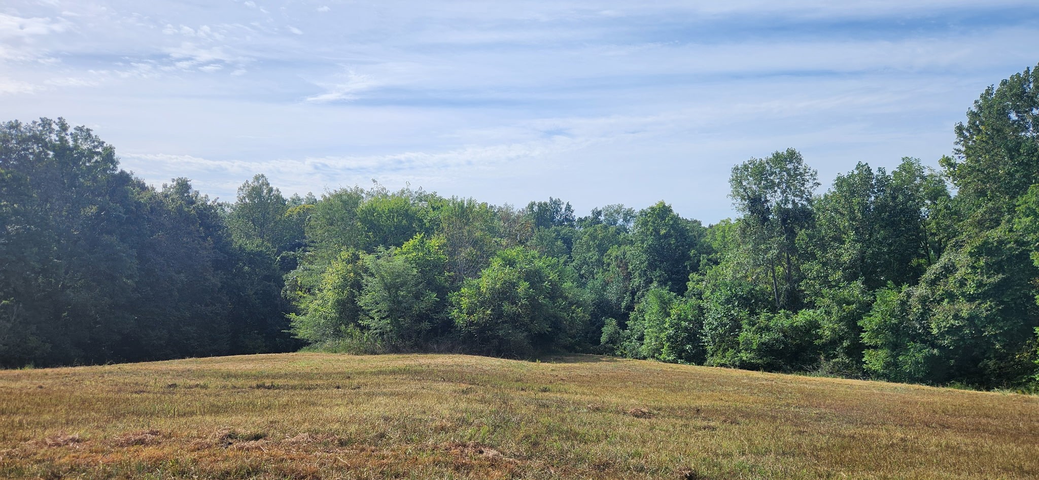 5849 Catholic Church Road Cedar Hill, TN 37032 - Photo 10 of 23 a view of an outdoor space with mountain view
